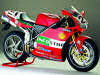 998 BAYLISS