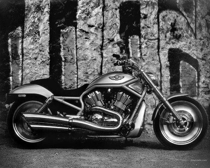 Galerie - Harley-Davidson 1131 V-ROD VRSCA