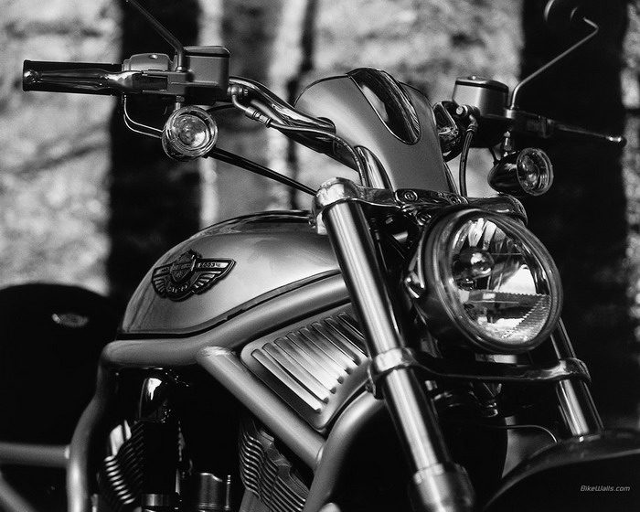 Galerie - Harley-Davidson 1131 V-ROD VRSCA