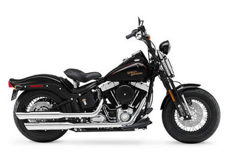 HARLEY-DAVIDSON 1584 FLSTSB CROSS BONES