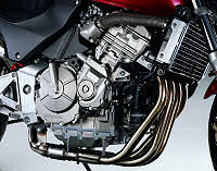 Honda CB 600 F HORNET