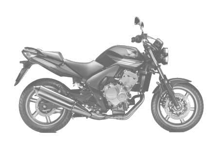 HONDA CBF 600 N 2008