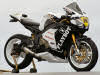 HONDA CBR 1000 RR FIREBLADE PLAYBOY Replica