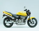 Honda 600 Hornet