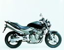 Honda 600 Hornet