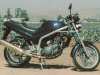 MZ 660 Skorpion Tour