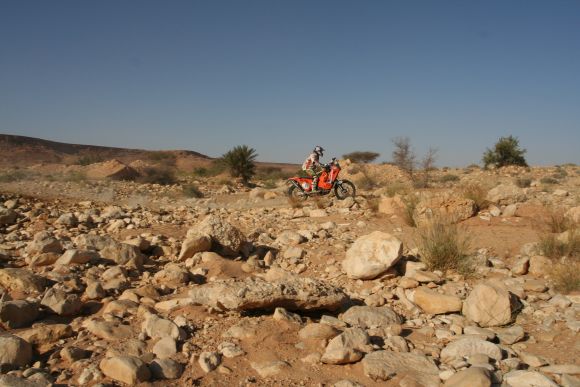 Rallye de Tunisie - Etape n°8