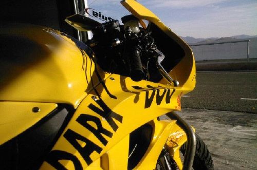 La Dark Dog Academy a les dents longues.