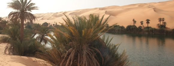 Inscriptions ouvertes pour le NPO Desert Trophy 2010.