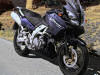 moto Suzuki DL 1000 V-STROM 2003