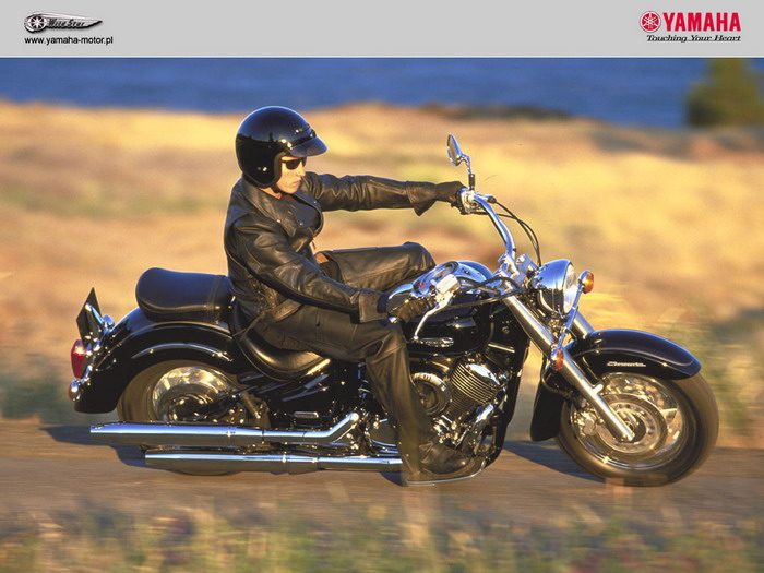 Galerie - Yamaha XV 1600 WILD STAR