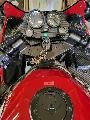 ZX-10 1000 TOMCAT