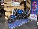 FZ1