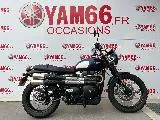 STREET SCRAMBLER  900