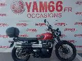 STREET SCRAMBLER  900