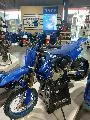 YZ65