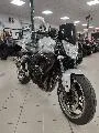 FZ1