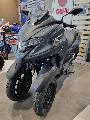 TRICITY 300