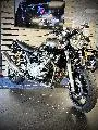 XJR 1300