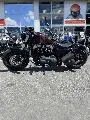 SPORTSTER 1200 XL