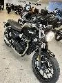 STREET TWIN  900
