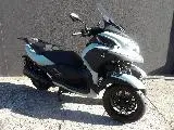 TRICITY 300