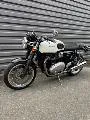 THRUXTON 1200