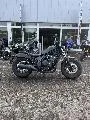CMX 500 REBEL
