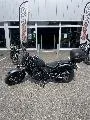 REBEL 500