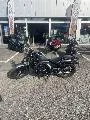 CMX 500 REBEL