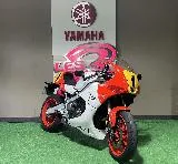 XSR 900 GP