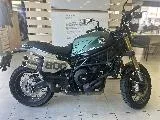 LEONCINO 800 T