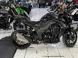 Z1100