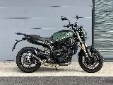 LEONCINO 800