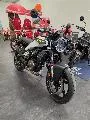 125 VITPILEN