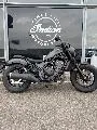 CMX 500 REBEL