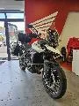 Tiger 900 GT PRO