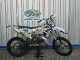 TE 300
