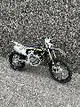 TF 450RC