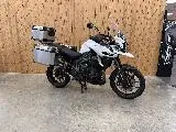 TIGER EXPLORER XRX