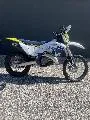 TE 300