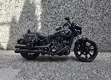SCOUT 1133 ROGUE