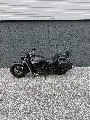 SCOUT BOBBER SIXTY