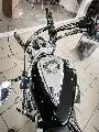 XVS 950