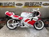 TZR 250