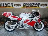 TZR 250