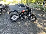GUERRILLA  450