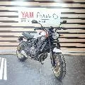 XSR 700 XTRIBUTE