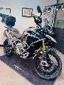 TIGER 1200 RALLY EXPLORER