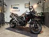 Tiger 900 GT Pro A2